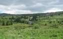 Stone run