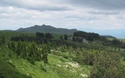 Vitosha