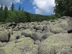 Zlatnite Mostove