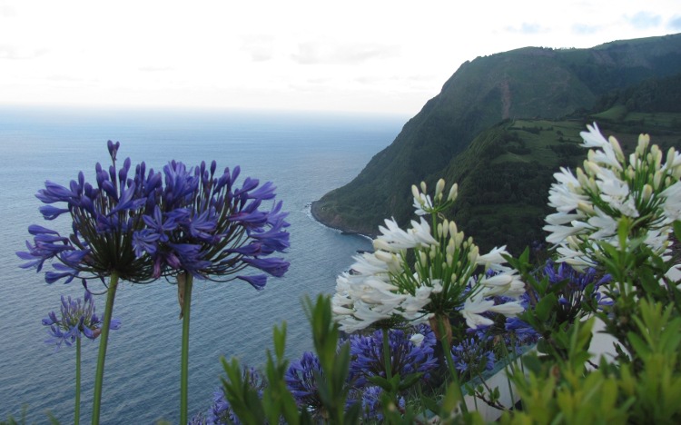 Ponta da Madrugada