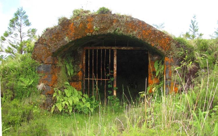 Schuilkelder