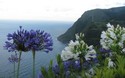 Ponta da Madrugada