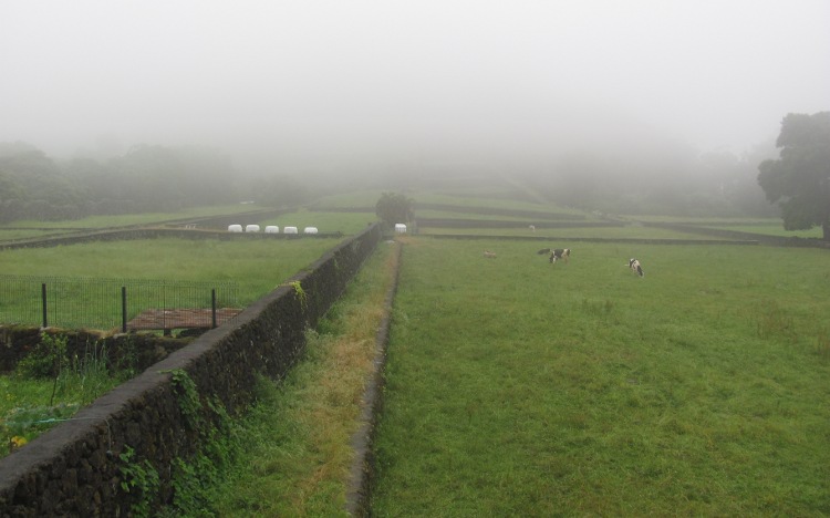 Het lijkt wel Yorkshire