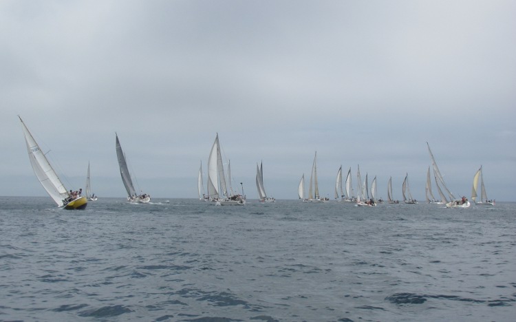 Regatta