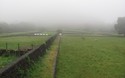Het lijkt wel Yorkshire