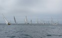 Regatta