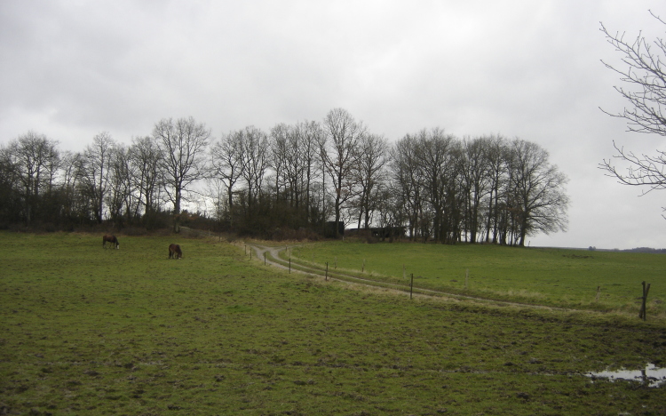 Landschap