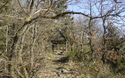Hutje