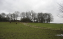Landschap