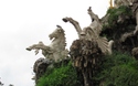 La Cascada