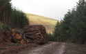 Blokken hout