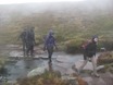 Regen en wind