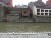 Roeiers en toeschouwers