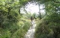 Herder