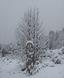 Wegwijzer in de sneeuw