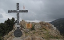 Cogull&oacute; d'Estela