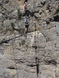 Via ferrata Regina