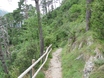 Wandelpad