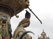 Petrusbrunnen met duif
