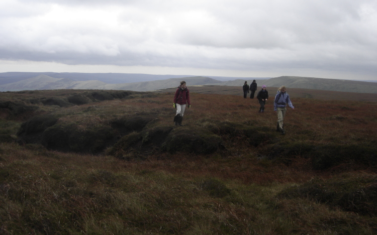 Through the bogs