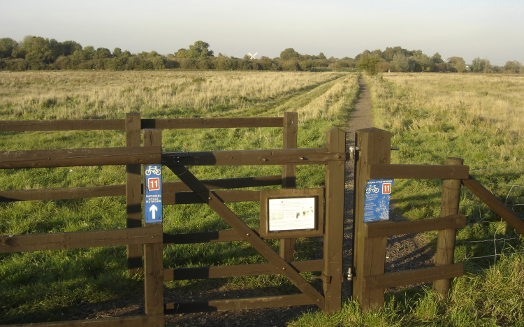 Cycling route 11