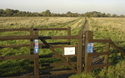 Cycling route 11