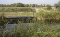 Wicken Fen