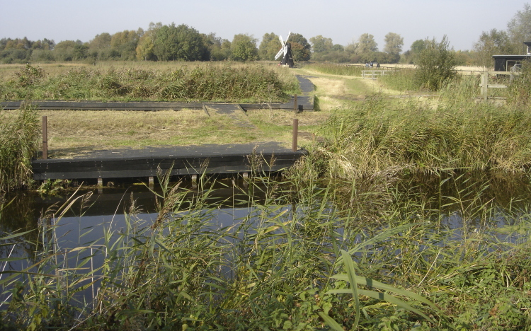 Wicken Fen