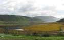 Loch Sunart