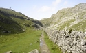 Comb Hill