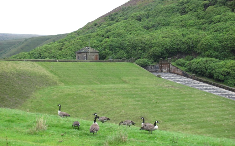 Blakeley Reservoir Dam