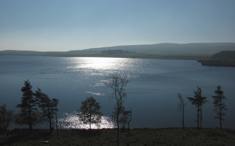 Malham Tarn in tegenlicht