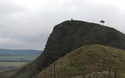 Back Tor