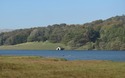 Malham Tarn