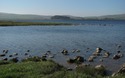 Malham Tarn