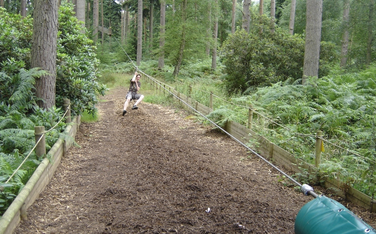 Go Ape!