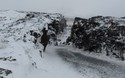 &THORN;ingvellir