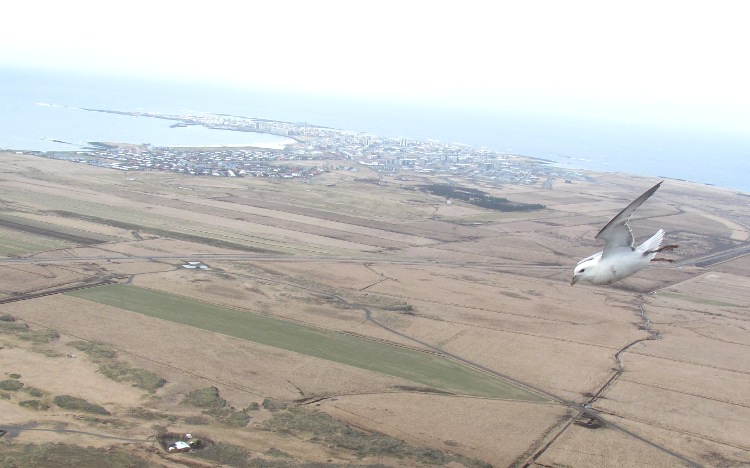 Zicht op Akranes