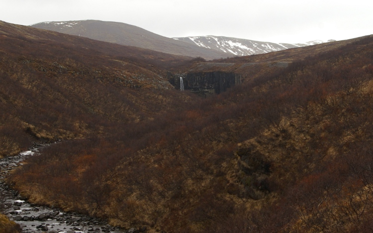 Svartifoss