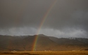 Regenboog