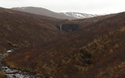 Svartifoss