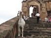 Trappen naar de Chaturbhuj Tempel