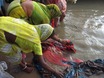 Dasaswamedh Ghat