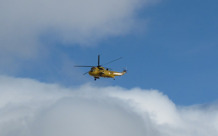 Sea King