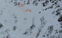 Oranje rook