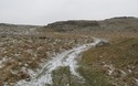 Bridleway