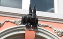 Vampire rabbit