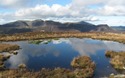 Tarn