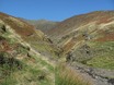 Gate Gill