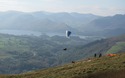 Paraglider
